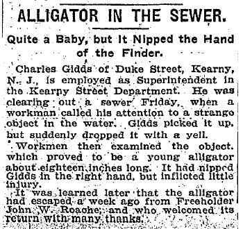 NYT, July 21, 1907